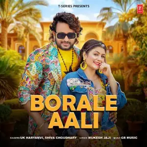 Borale Aali image