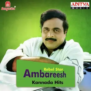 Rebel Star Ambarish Kannada Hits image