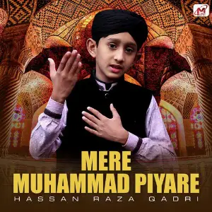 Mere Muhammad Piyare - Single image