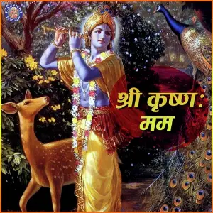 Shree Krishna Mamah image