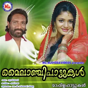 Mailaachipattukal image