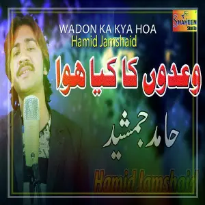 Wadon Ka Kya Hoa - Single image