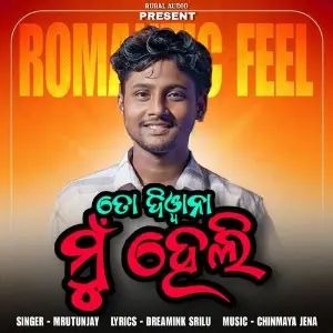 To Deewana Mu Heli image