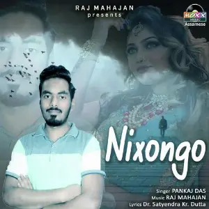 Nixongo image