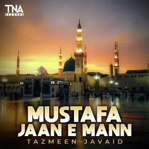 Mustafa Jaan E Mann - Single image