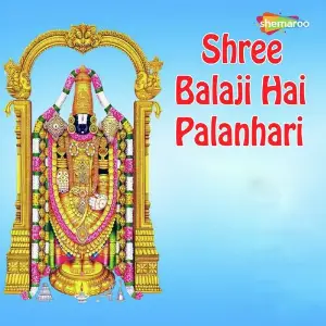 Shree Balaji Hai Palanhari image