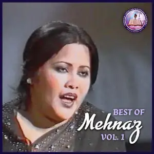Best of Mehnaz, Vol. 1 image