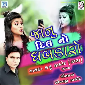 Janu Dil No Dhabkaro image