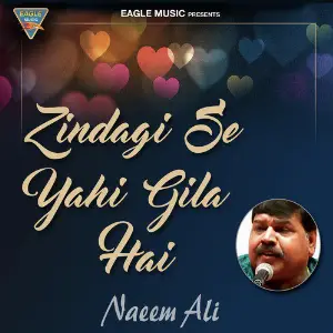 Zindagi Se Yehi Gila Hai - Single image