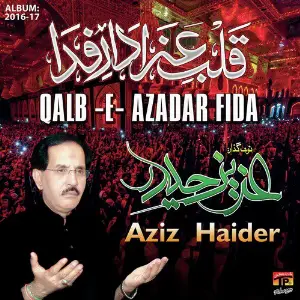 Qalb E Azadar Fida, Vol. 2016-17 image
