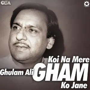 Koi Na Mere Gham Ko Jane image