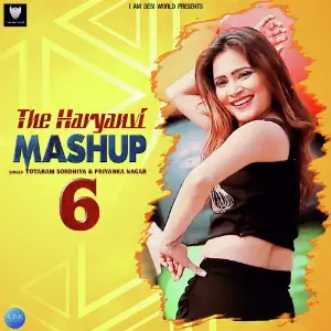The Haryanvi Mashup 6 image