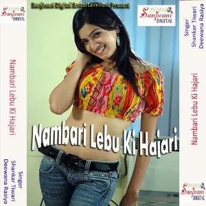 Nambari Lebu Ki Hajari image