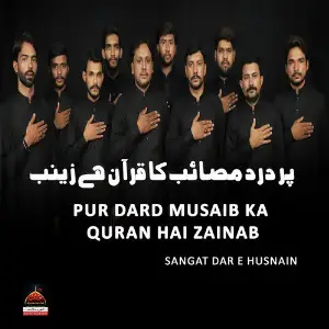Pur Dard Musaib Ka Quran Hai Zainab image