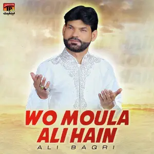 Wo Moula Ali Hain - Single image