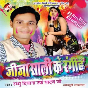Jija Sali Ke Rangihe image