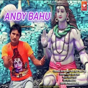 Andy Bahu image