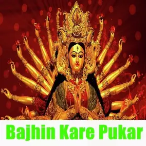 Bajhin Kare Pukar image