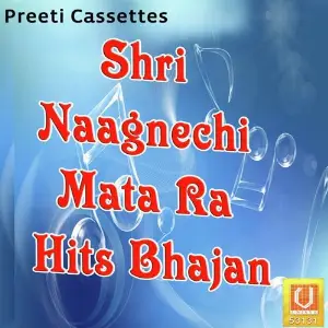 Shri Naagnechi Mata Ra Hits Bhajan image