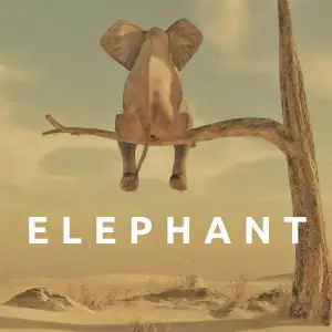 Elephant Chipcat