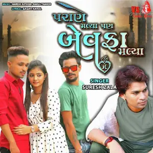 Parone Malya Pan Bewafa Malya image