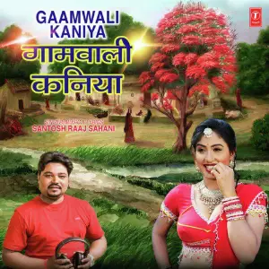 Gaamwali Kaniya image