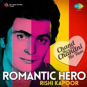 Romantic Hero - Rishi Kapoor Various Artists