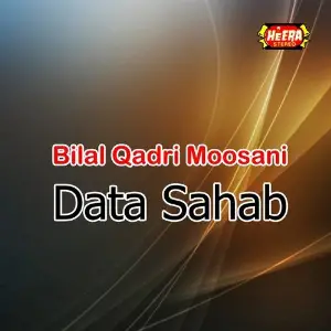 Data Sahab image