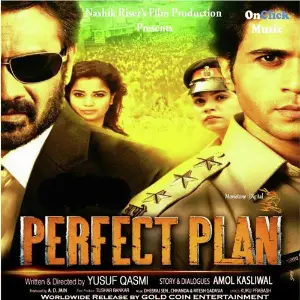 Perfect Plan image