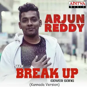 The Break Up - Cover Song image