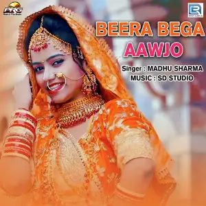 Beera Bega Aawjo image