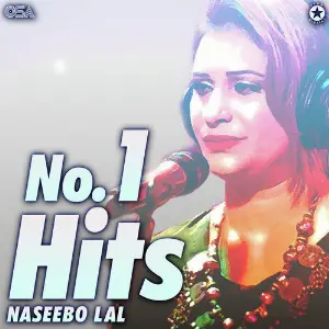 No.1 Hits Naseebo Lal