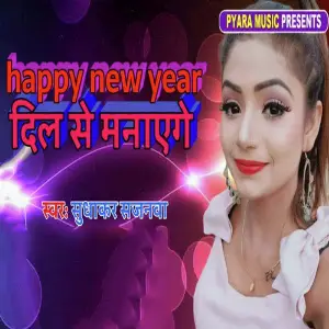 Happy New Year Dil Se Manayenge image