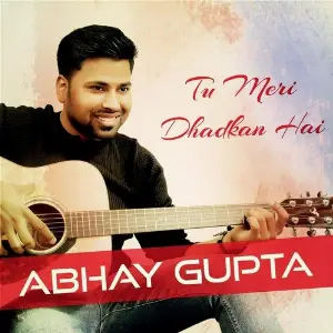 Tu Meri Dhadkan Hai image