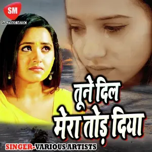 Tune Dil Mera Tod Diya image