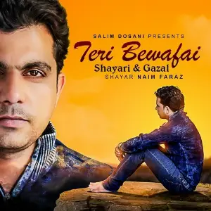 Teri Bewafai image