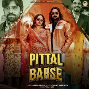 Pittal Barse (feat. Kay D, KP Kundu, Aarohi Raghav) image