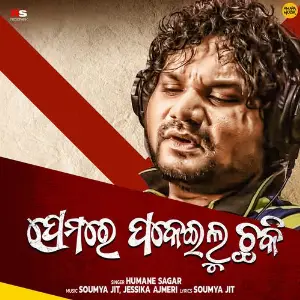 Premare Pakeilu Chaki image