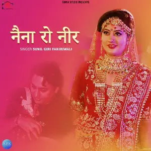 Naina Ro Neer - Single image