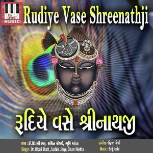 Rudiye Vase Shreenathji image