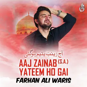 Aaj Zainab Yateem Ho Gai - Single Farhan Ali Waris