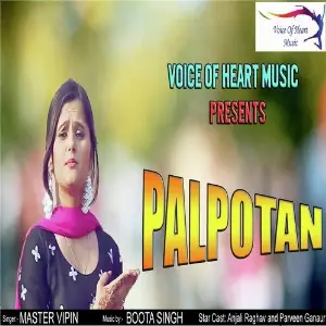 Palpotan image