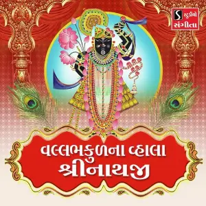 Vallabhkulna Vhala Shrinathji image