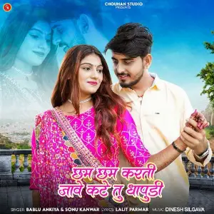 Cham Cham Karti Jave Kate Tu Dhapudi image