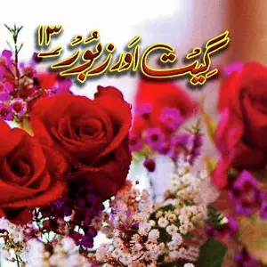 Geet Aur Zaboor, Vol. 13 image