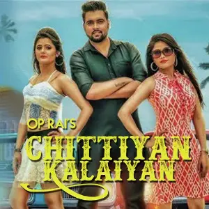 Chittiyan Kalaiyan image