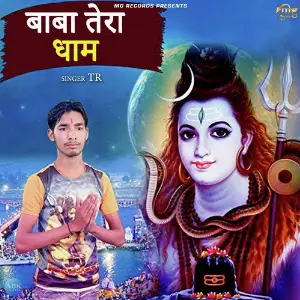 Baba Tera Dhaam - Single image