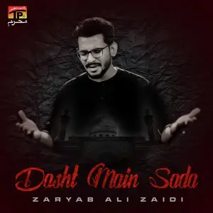 Dasht Main Sada image