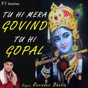 Tu Hi Mera Govind Tu Hi Gopal image