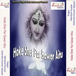 Hoke Sher Par Sawar Aitu image